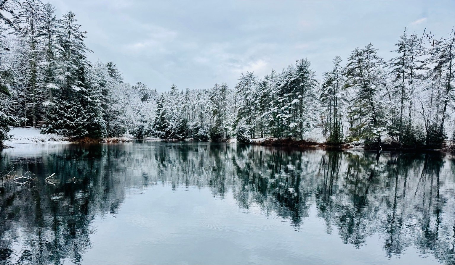 Snow-covered evergreens reflected in still water
