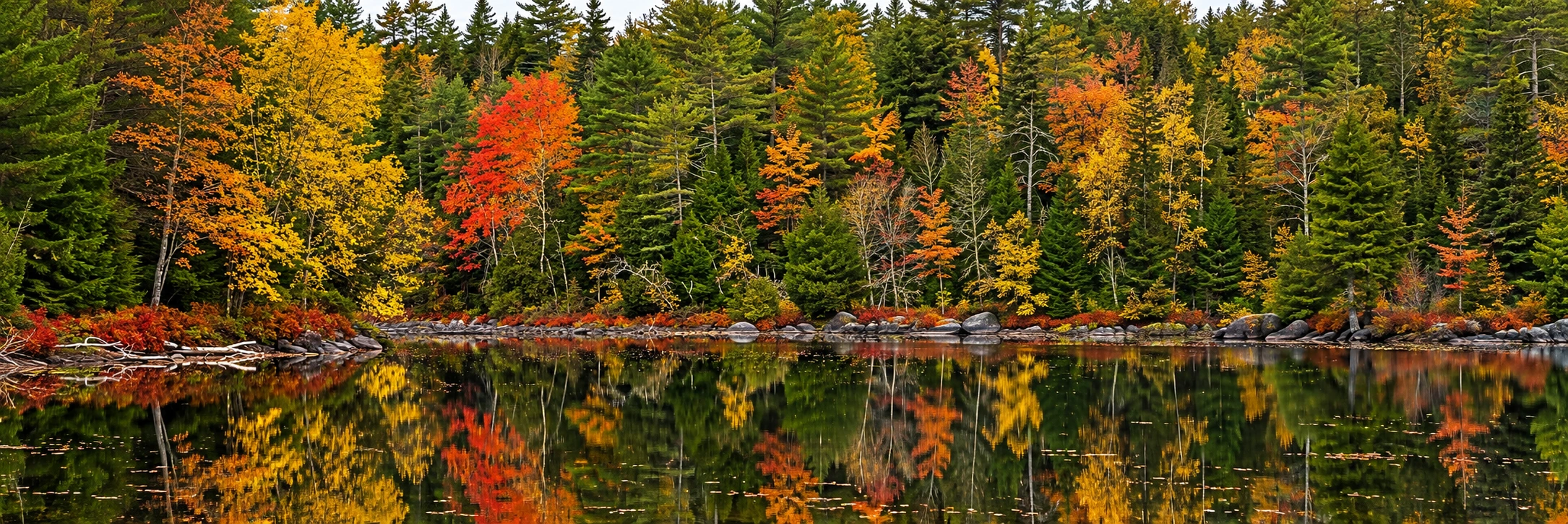 Generated Adirondack-inspired autumn woodland and still lake reflection